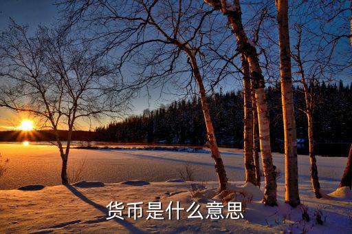 貨幣代表什么，貨幣是什么意思