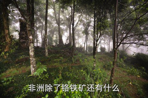 非洲有什么礦產(chǎn)資源，非洲哪些礦產(chǎn)豐富