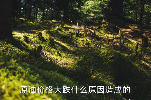 原油為什么會(huì)跌，原油價(jià)格大跌什么原因造成的