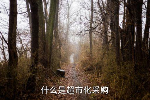 超市化采購(gòu)什么意思，什么是超市化采購(gòu)