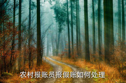 村里面報賬員報假賬有什么后果，農(nóng)村報賬員報假賬如何處理