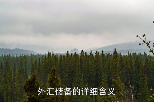 外匯儲備包括什么，外匯儲備指什么是用黃金或紙幣來儲備