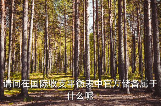 官方儲備資產(chǎn)包括什么，官方儲備資產(chǎn)包括固定資產(chǎn)嗎
