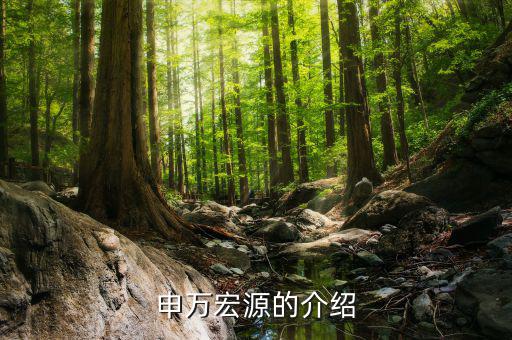 申萬宏源總經(jīng)理什么級，申萬宏源區(qū)分公司總經(jīng)理有行政級別嗎