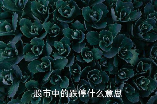 跌停是什么意思，跌停是什么意思