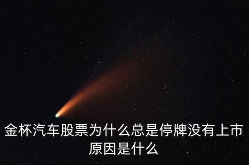 金杯汽車股票為什么總是停牌沒(méi)有上市原因是什么