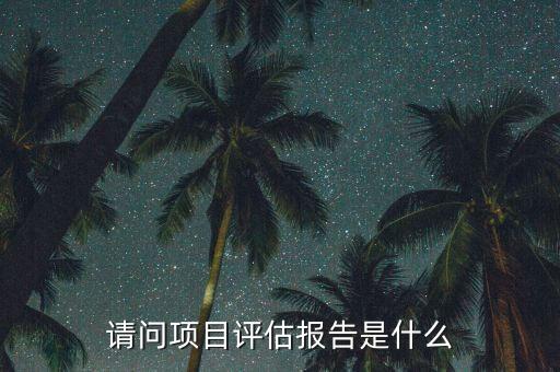 什么是評估咨詢報告，什么是投資評估報告