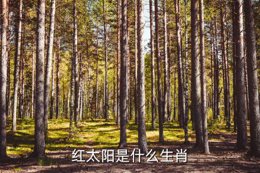 紅太陽(yáng)屬于什么股，紅太陽(yáng)是什么生肖