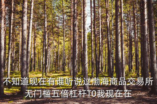 渤海商品多少倍杠桿是什么意思，專業(yè)做期貨的口中所謂幾倍杠桿幾倍杠桿到底是啥意思