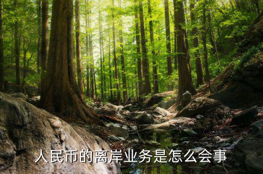 為什么會有離岸人民幣，人民幣的離岸業(yè)務是怎么會事