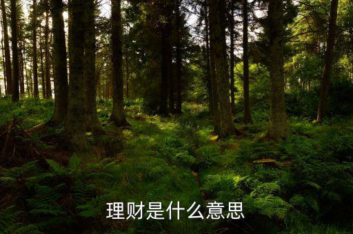 理財市場是什么，理財是什么意思