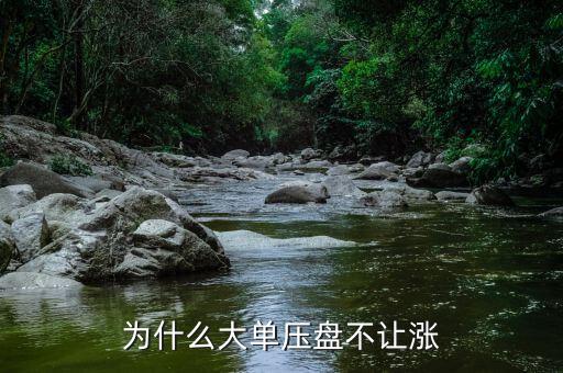 大單壓盤不讓漲是什么意思，為什么在巨單壓盤為什么不讓漲