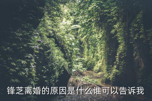 胡芝容為什么離婚，鋒芝戀離婚原因是為什么