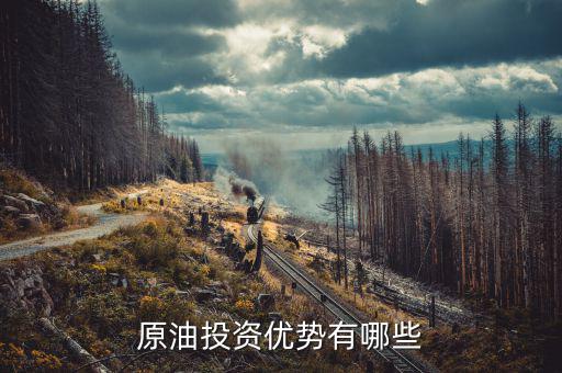國(guó)家對(duì)投資原油有什么扶持，原油是國(guó)家支持的嗎