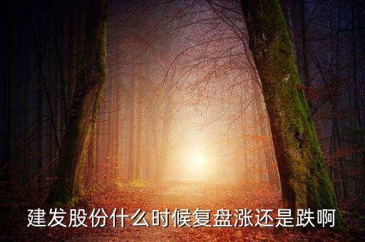 002719股什么時候復盤，000719什么時候復牌啊