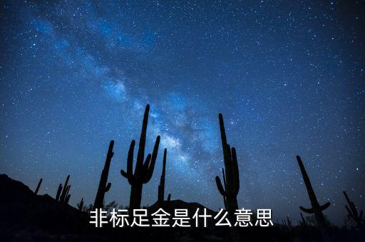 什么是金融非標(biāo)產(chǎn)品，什么叫非標(biāo)融資