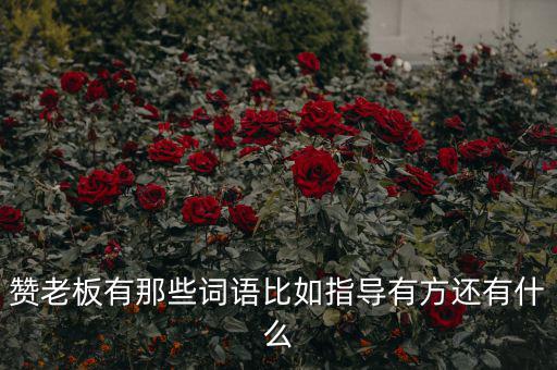 什么成語(yǔ)能夠形容房地產(chǎn)老板，贊老板有那些詞語(yǔ)比如指導(dǎo)有方還有什么