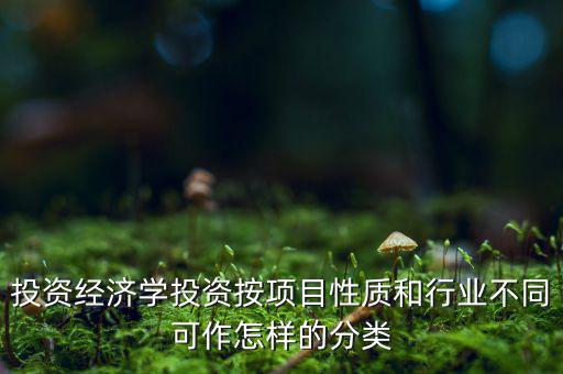 什么是公共消費性投資，如何理解消費投資