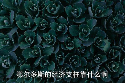 為什么鄂爾多斯經(jīng)濟(jì)發(fā)展，鄂爾多斯市是什么原因讓其發(fā)展如此迅猛