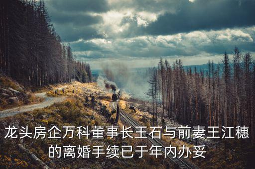 王石什么時候離婚的，龍頭房企萬科董事長王石與前妻王江穗的離婚手續(xù)已于年內辦妥