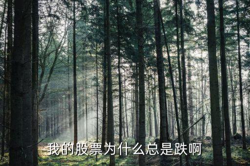 捷城股份為什么一直跌，有被捷成投資騙的人嗎咱們一起去告他