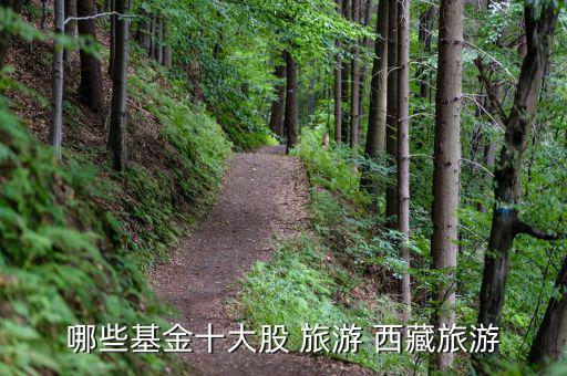 什么基金投資旅游業(yè)，哪些基金十大股 旅游 西藏旅游