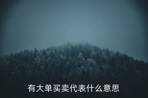 在買5成交有大單是什么意思，股票中大單是什么意思