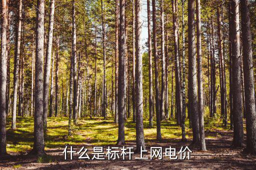 什么是標桿電價，什么是標桿上網(wǎng)電價