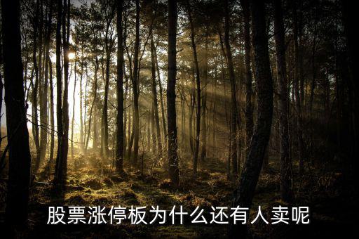 為什么已經(jīng)漲停的股票那么多人買，當(dāng)天漲停的股票為什么還有那么多人買入跟進(jìn)呢