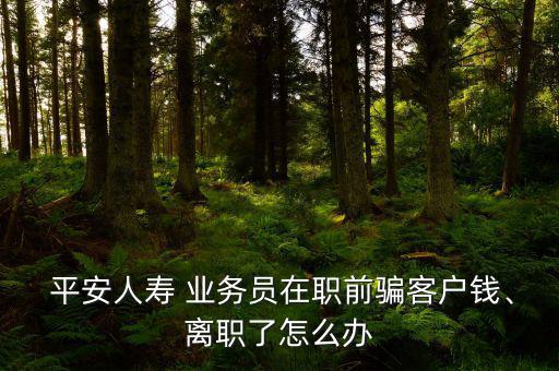  平安人壽 業(yè)務員在職前騙客戶錢、離職了怎么辦
