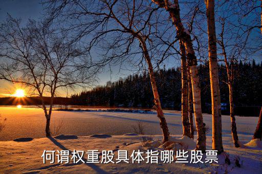 什么叫權(quán)重股，權(quán)重股與小盤股的區(qū)別在那兒我想數(shù)下有多少權(quán)重股有多少小盤股