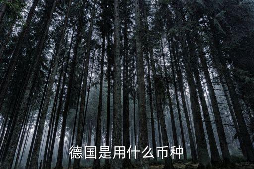 德國(guó)是什么貨幣，德國(guó)是用什么幣種