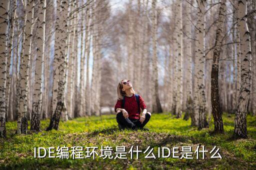 tltro是什么，虛擬內(nèi)存是什么玩意