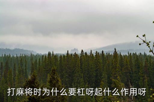 為什么要用杠桿，為什么有些杠桿要設(shè)計(jì)成費(fèi)力的呢
