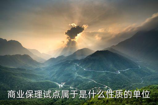 深圳商業(yè)保理協(xié)會是什么性質，商業(yè)保理試點屬于是什么性質的單位