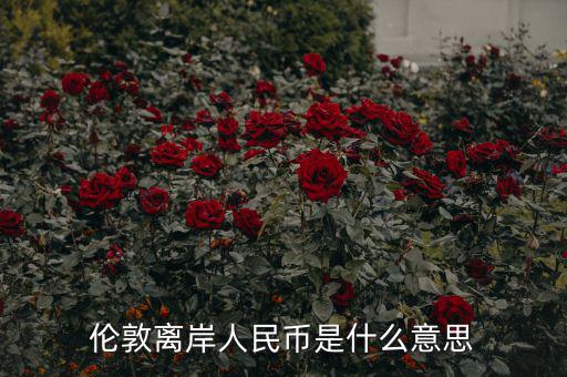 離岸人民幣是什么意思，在岸人民幣和離岸人民幣是什么意思