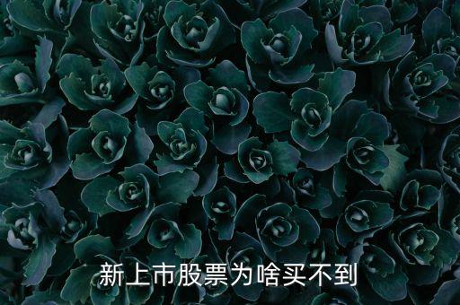 為什么新股我總買不到，新上市股票為啥買不到