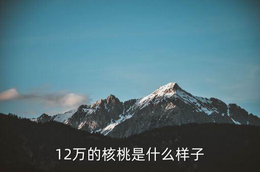 36萬核桃長什么樣，大家看這個(gè)核桃做的怎樣值多少