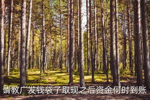 廣發(fā)錢袋子墊資什么時候，廣發(fā)錢袋子前天周末為什么沒有收益今天周一收益還沒出來