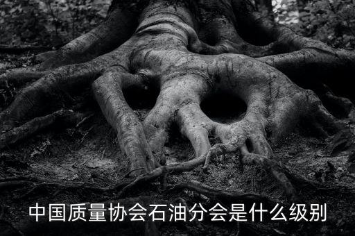中國質量協(xié)會石油分會是什么級別
