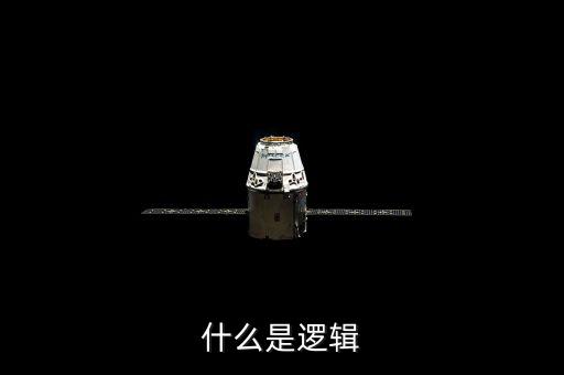 邏輯是什么，什么是邏輯