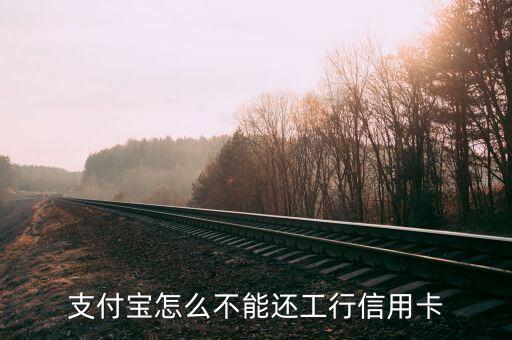 支付寶為什么不能還信用卡，支付寶怎么不能還工行信用卡
