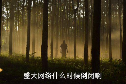 美國盛大游戲什么時間退市，盛大倒閉確切日期