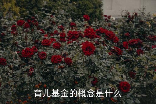 什么是育兒基金，什么是寶寶基金