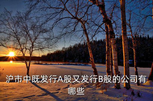 上市公司既生a股又發(fā)行了b股的有什么公司，滬市中既發(fā)行A股又發(fā)行B股的公司有哪些