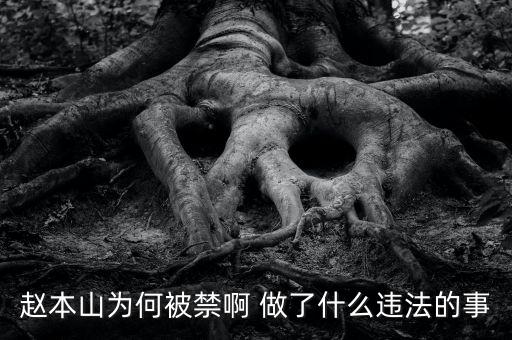 趙本山作品為什么禁播，趙本山的小品怎么也不讓播了