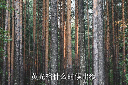 黃光裕什么時候出獄，黃光裕什么時候出獄