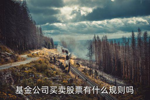 基金持有上市公司股票有什么限制嗎，基金公司買賣股票有什么規(guī)則嗎