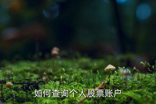 怎么看股票什么戶，怎樣查詢自己的股票賬戶在什么地方開的戶