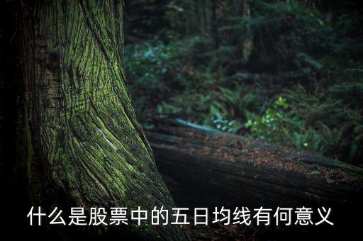 5日均線有什么用，什么是股票中的五日均線有何意義